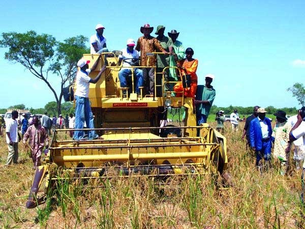 Agriculture : La production de 2015 estimée à cinq millions de tonnes