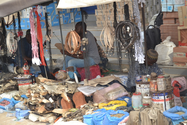 A la veille du Grand Magal 2016, Touba, la Sainte refuse du monde