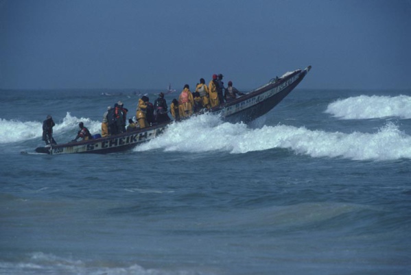 Mauritanie:180 pêcheurs arrêtés, Nouackchott et Dakar trouvent une solution aux licences de pêche