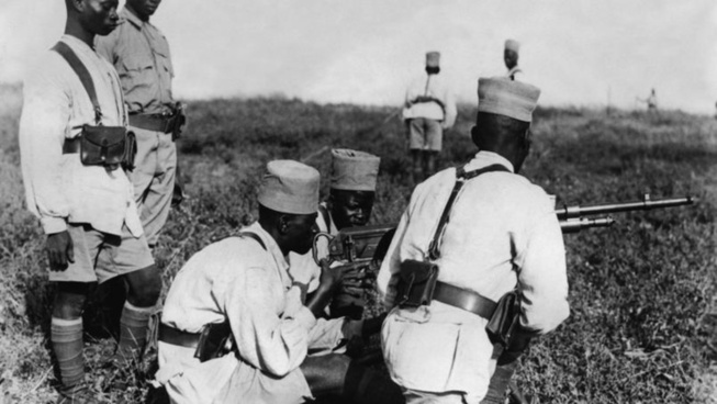 FRANCE: 28 tirailleurs sénégalais naturalisés à l'Élysée