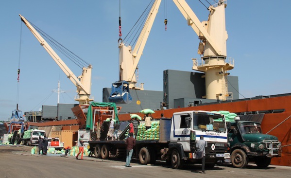 Fraude douanière au Port : Des réseaux de trafic de sucre démantelés