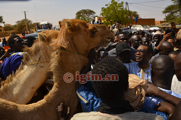 Youssou NDOUR décoré par les populations de la commune de Ndioum