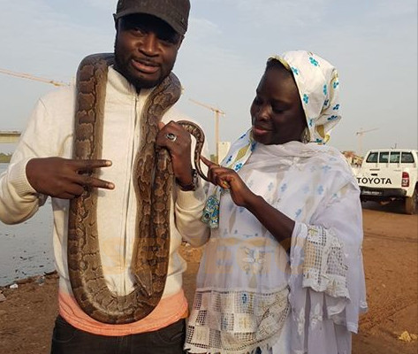 Arrêt sur image : Fata El Presidente, Thérèse Faye et le serpent.