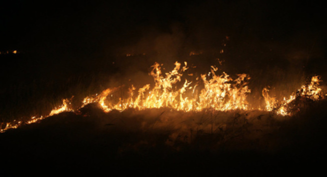 Koungheul : Un violent incendie détruit une vingtaine de maisons