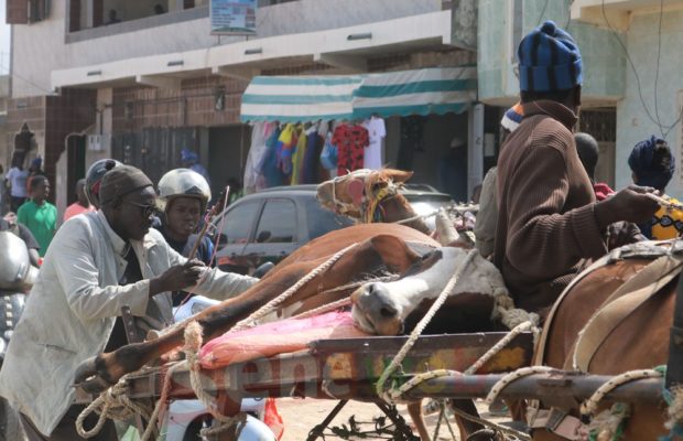 Gamou-2018 : Tivaouane en images