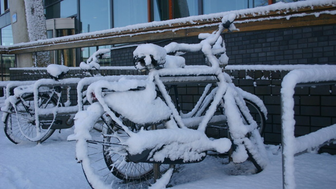 La première tempête de neige depuis 10 ans bloque les transports néerlandais- vidéos