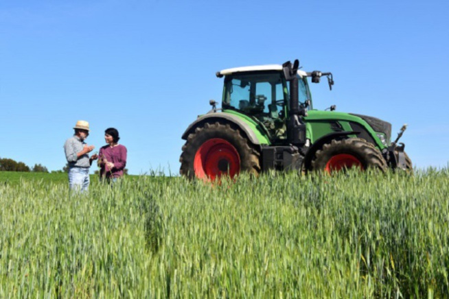 Horrible fin de deux femmes migrantes : endormies dans un champ, elles meurent écrasées par un tracteur