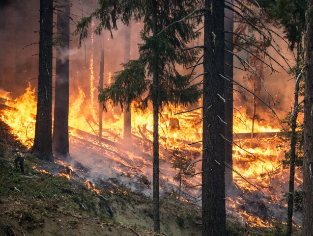 Cinq points à surveiller dans le rapport du GIEC sur le climat