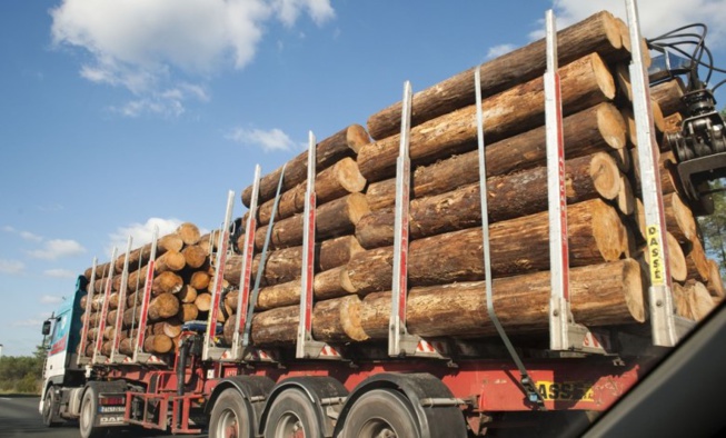Saisie de 77 camions transportant du bois ,disparition de militaires : Le Gouvernement doit-il sévir contre une rébellion qui se braque encore !