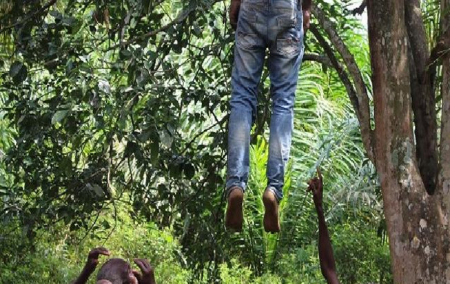 Drame à Diourbel: Un jeune de 32 ans retrouvé mort, suspendu à un arbre