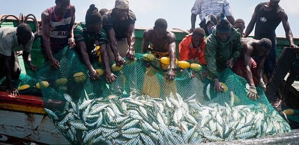 Convention de pêche : Dakar et Bissau renouvellent le protocole