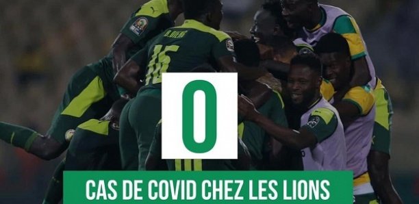 Covid-19 / Finale Can 2021 : Les résultats des Lions sont tombés