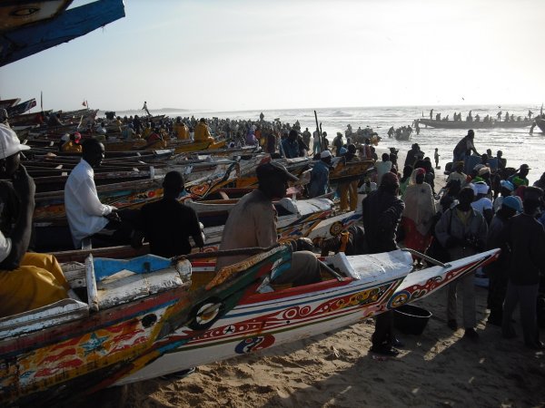 Les acteurs de la pêche s’organisent à Cayar