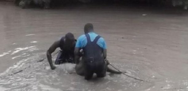 Saraya : Un Garçon De 12 ans meurt Noyé Dans Un Etang A Khossanto, une société minière indexée