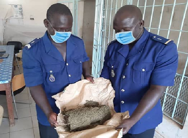 Trafic de drogue : 860 kg de chanvre indien saisis par la gendarmerie nationale