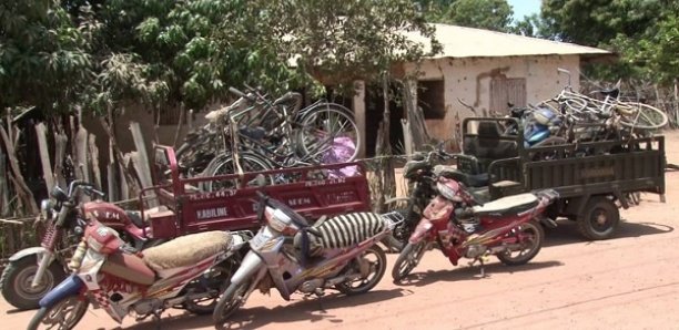 Bignona : Un espace forestier crée une vive tension entre populations des communes de Kataba 1 et de Djinaky