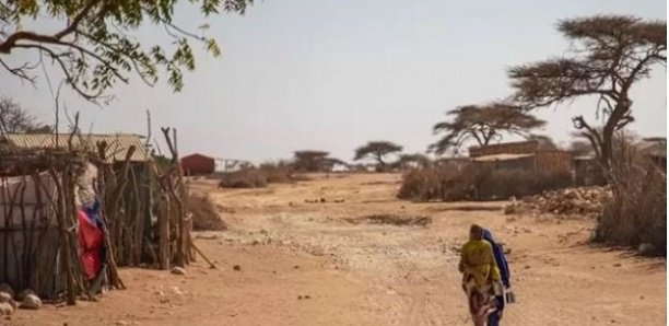 La sécheresse dans la Corne de l'Afrique menace de famine 20 millions de personnes