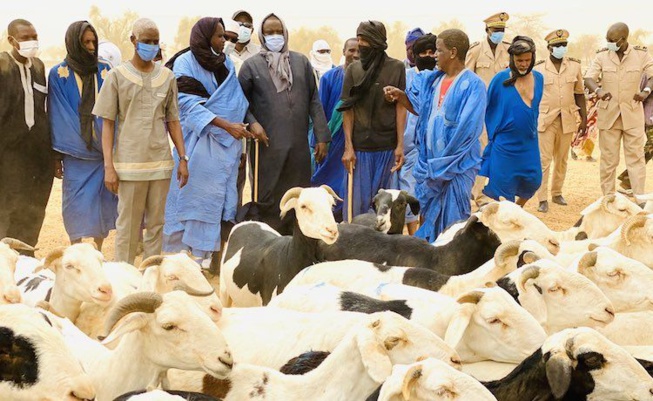 Tabaski 2022 : le Sénégal supprime les taxes sur la vente de bétail pour les éleveurs mauritaniens