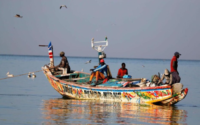 Journée des Océans : Les pêcheurs s’attaquent aux entreprises de farine de poisson