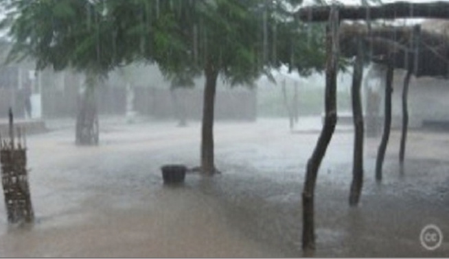 Prévisions météo de ce weekend : orages et pluies attendus un peu partout au Sénégal