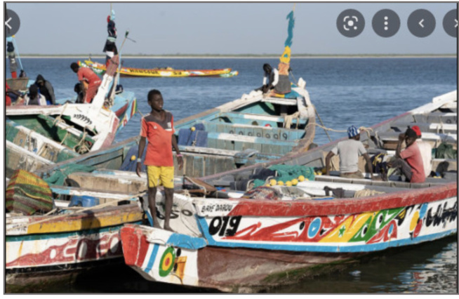 Fatick: L’Etat invité à doter le débarcadère de Djiffer d’un quai de pêche aux normes