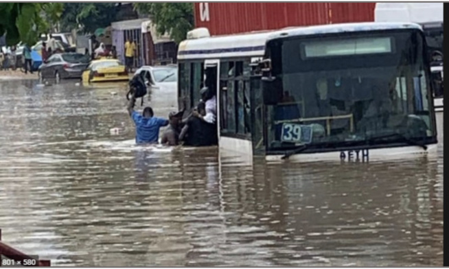 Hantise des mauvais jours : Plongée dans les zones inondables