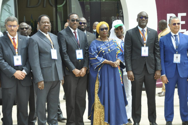 Photos : ouverture du 20e Congrès de l’Association des Sociétés d’Electricité d’Afrique (ASEA)