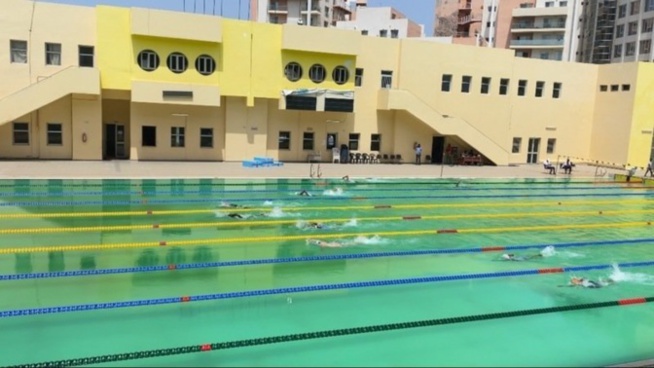 Bataille rangée à la Piscine Olympique: Arrêt des activités de la natation sénégalaise