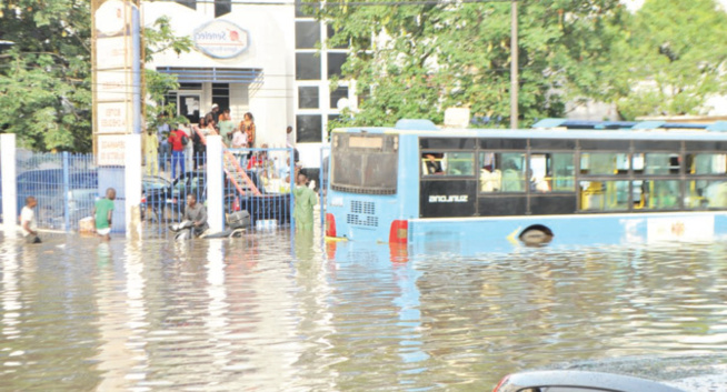 Le marché et les rues de Fass sous les eaux : Le cri du cœur des vendeurs et des usagers des véhicules