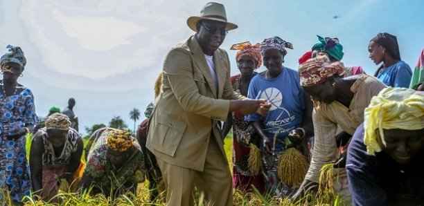 PAP2A et Souveraineté alimentaire (Par Djibril Gueye)