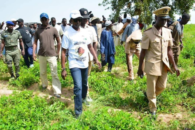 Khelcome 2022 en images des récoltes avec le Dieuwrigne Cheikh Amar dans les champs de Serigne Saliou