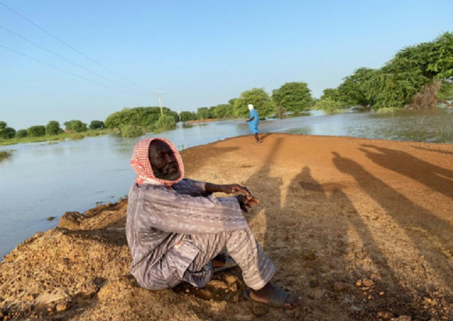 Podor : La crue du fleuve isole plusieurs villages de l’île à Morfil