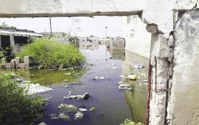 Victimes des inondations du quartier Thierno Kandji à Diourbel : Serigne Makhtar Ndiaye alerte l’État sur les menaces d’effondrement des maisons