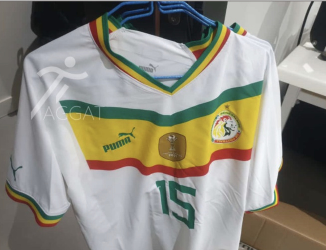 Prix des maillots du Sénégal : Rémy Ngono massacre la Fédération sénégalaise de football