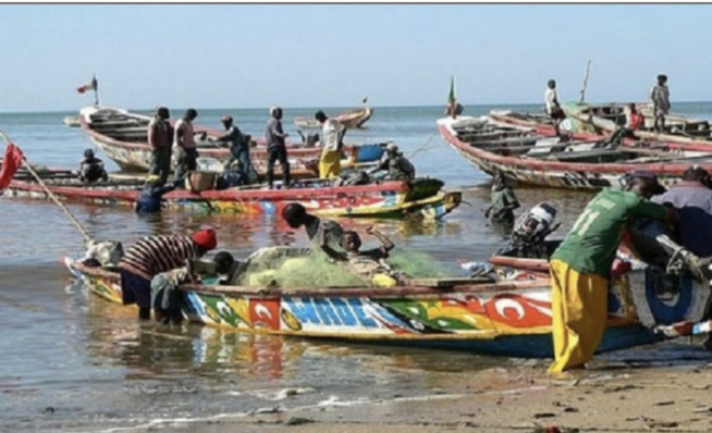 Mévente des produits halieutiques : Les pêcheurs de Mbour tirent sur le service des pêches