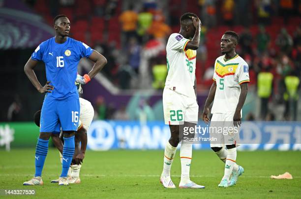 CM2022 / Sénégal vs Qatar: Vaincre ou disparaître, Jakobs et Iliman Ndiaye de la partie