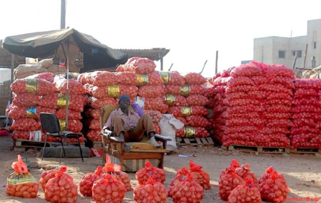 Les prix de l'oignon et de la pomme de terre importés hors contrôle : L’Etat lâche de lest