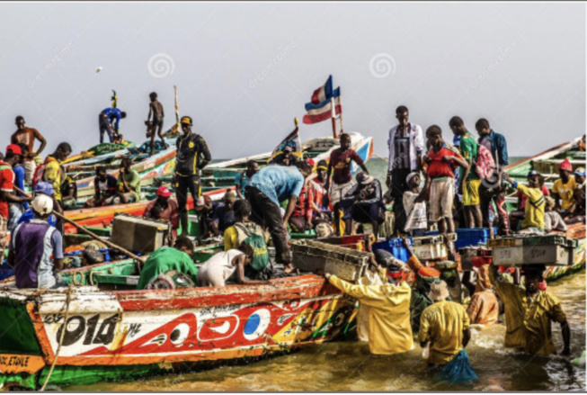 Saint-Louis/ Sécurité en mer et techniques de géolocalisation: Des capitaines de pirogues capacités