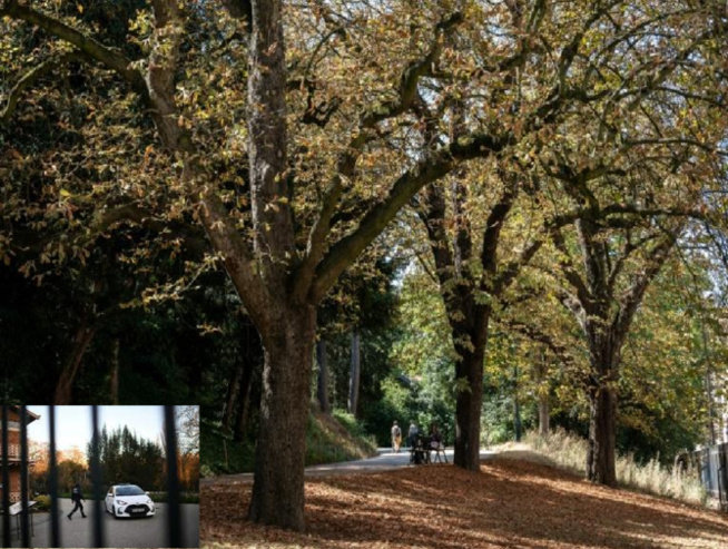 Horreur à Paris : Un corps de femme découpé, retrouvé dans le parc des Buttes-Chaumont