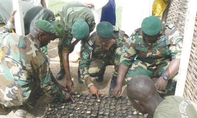 Affaire des 45 milliards FCfa : Aucun agent des Eaux et Forêts n’a encore vu les armes