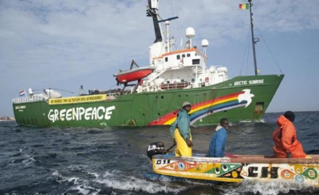 Altercations entre pêcheurs à Cayar : Greenpeace appelle au calme