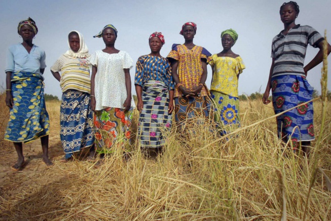 Lutte contre la pauvreté à Kolda : Les femmes rurales réclament un meilleur accès à la terre