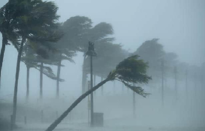 Météo : ANACIM alerte sur un vent fort sur la Petite côte et la Casamance