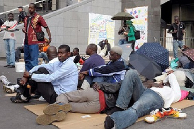 Insertion socioprofessionnelle des jeunes : Les diplômés sans emploi répondent à l’appel au dialogue de Macky Sall