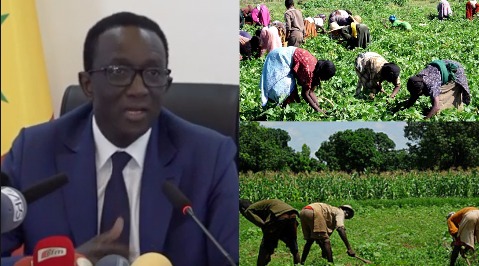 Les fortes recommandations du premier ministre Amadou Ba pour la Campagne agricole 2023 – 2024