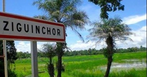 Bac 2023 : Ziguinchor affiche un taux de réussite de 14% au premier tour