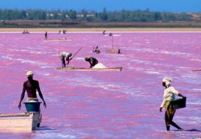 Menaces sur le Lac Rose (Ex-Lacrëtba) Le tourisme se meurt, des milliers d’emplois en péril