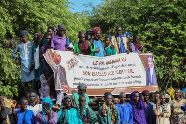 ÉLEVAGE: Amadou BA lance la campagne de la vaccination nationale du cheptel