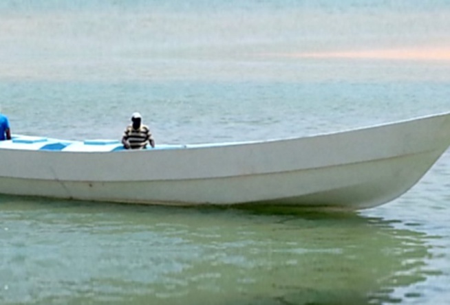 Modernisation des embarcations de pêche : les pirogues en fibre de verre vulgarisées pour une appropriation par les pêcheurs