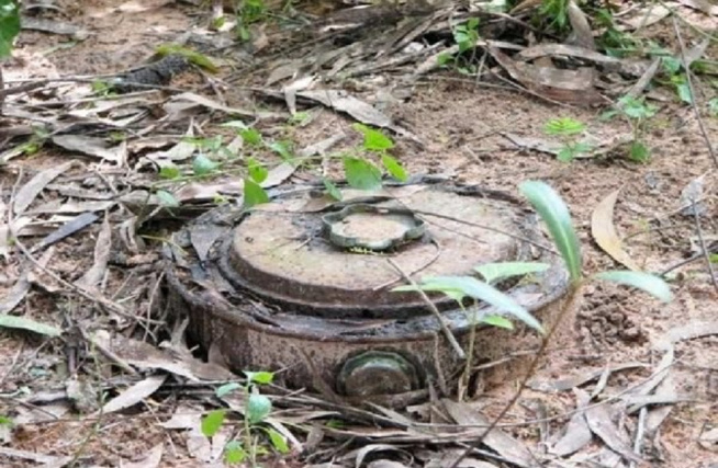 Mort de 4 braves soldats-Les condoléances de Karim Wade : La paix définitive en Casamance, un de ses chantiers prioritaires au soir du 25 février 2024